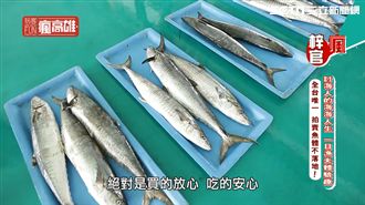 討海人的海海人生 一日漁夫體驗趣