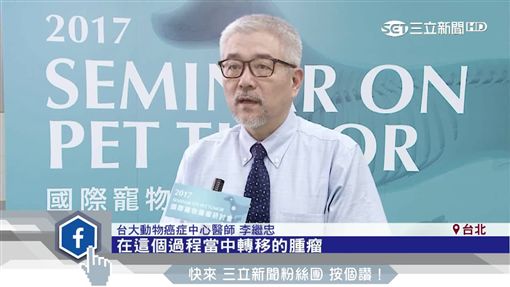 毛小孩也會罹癌!減緩惡化及轉移速度 褐藻醣膠成醫治選項業配