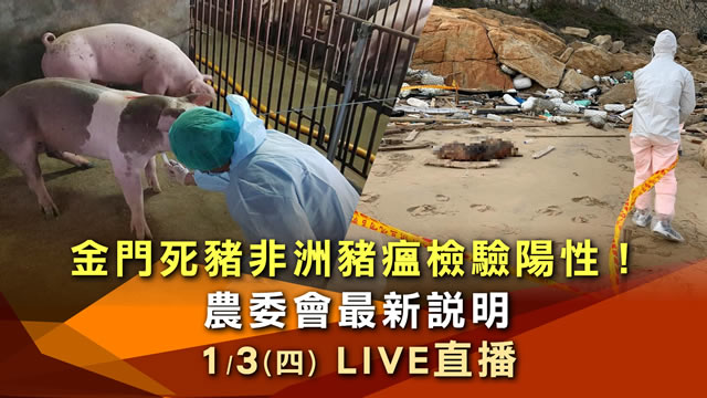 金門死豬非洲豬瘟檢驗陽性！農委會最新說明