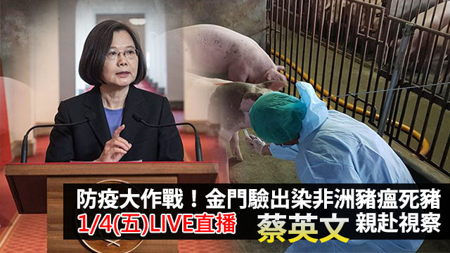 防疫大作戰！金門驗出豬瘟 蔡英文親赴視察