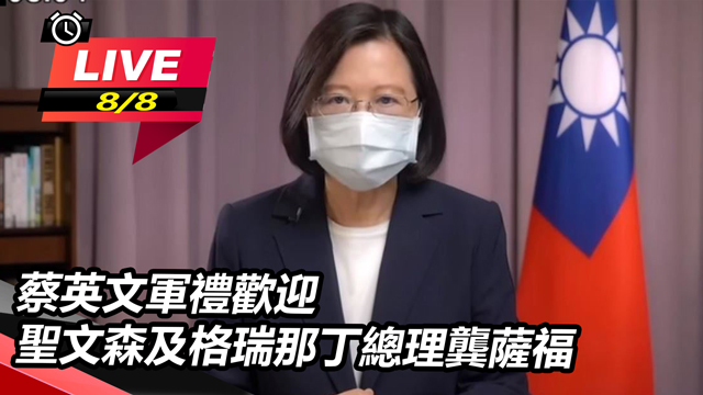 蔡英文軍禮歡迎聖文森及格瑞那丁總理龔薩福