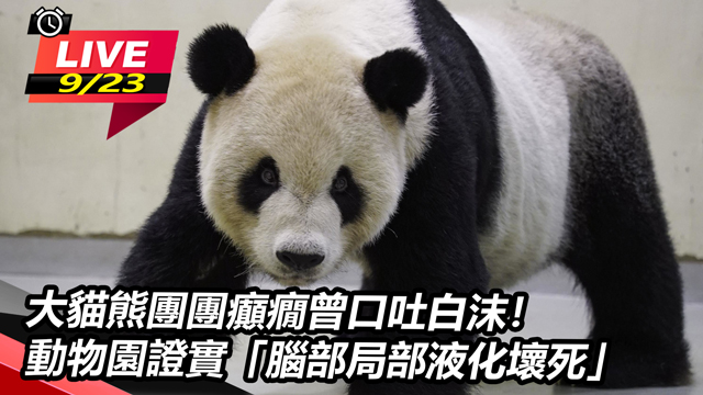 大貓熊團團癲癇曾口吐白沫!