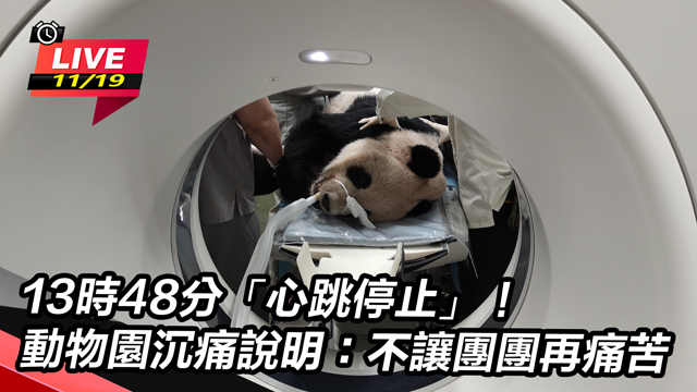 大貓熊團團癲癇恐復發 診斷出爐