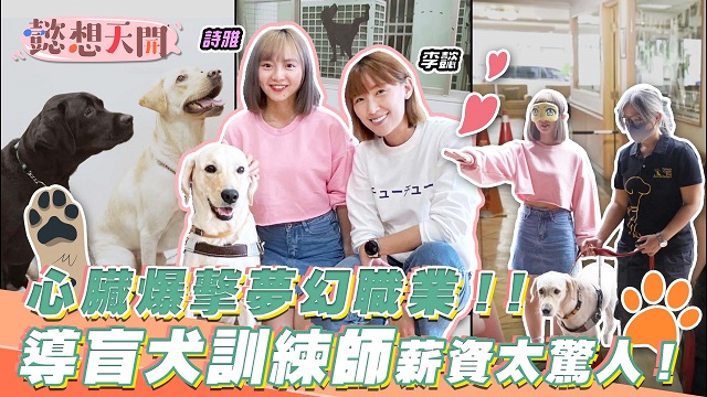 心臟爆擊夢幻職業,導盲犬訓練師薪資太驚人