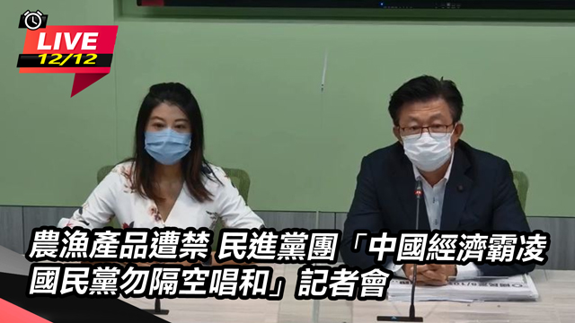 「中國經濟霸凌 國民黨勿隔空唱和」記者會