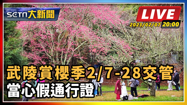 武陵賞櫻季2/7-28交管 當心假通行證