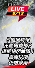 楊柳快閃台灣！嘉義以南防豪雨