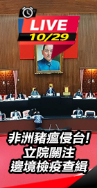  非洲豬瘟侵台!立院關注檢疫