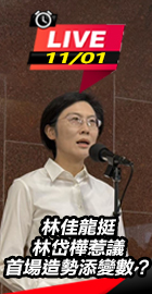 林佳龍挺林岱樺惹議 