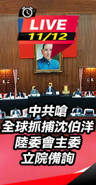 陸委會主委立院備詢