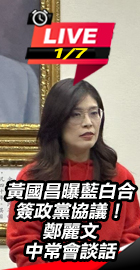 鄭麗文中常會談話