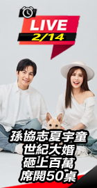 孫協志夏宇童世紀大婚