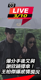 王柏傑曝感情現況