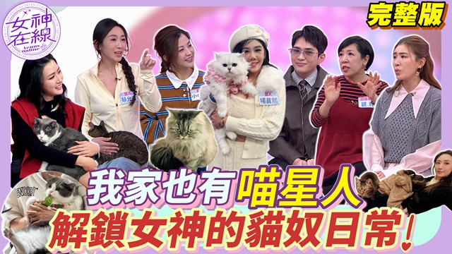 小禎家煙霧迷漫差點被貓燒掉？