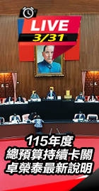 115年度總預算持續卡關