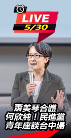 蕭美琴合體何欣純 民進黨座談