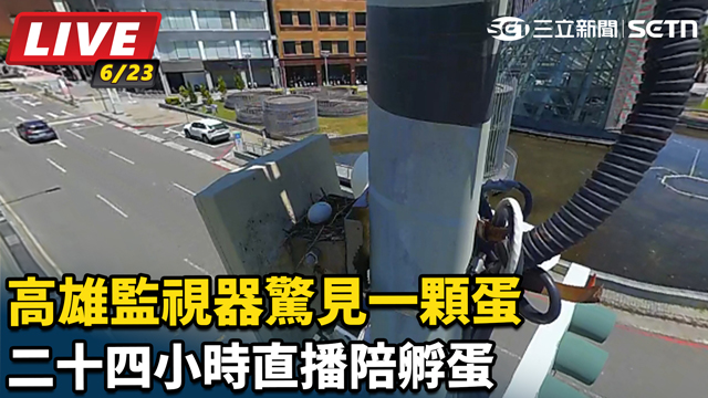 高雄路口監視器驚喜「生蛋」！