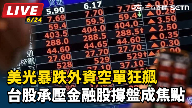 美光暴跌外資空單狂飆  台股承壓金融股