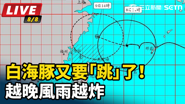 白海豚又要「跳」了！越晚風雨越炸