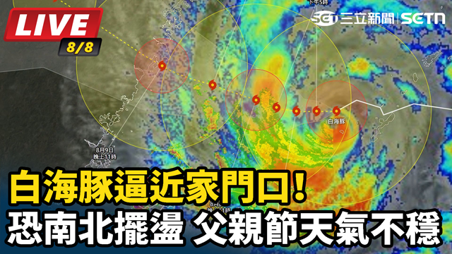白海豚逼近家門口！恐南北擺盪