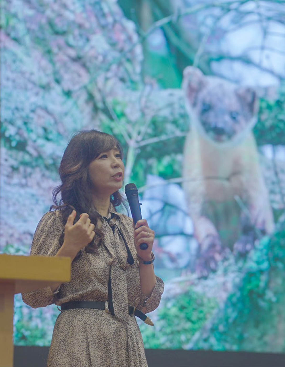 我的動物同學