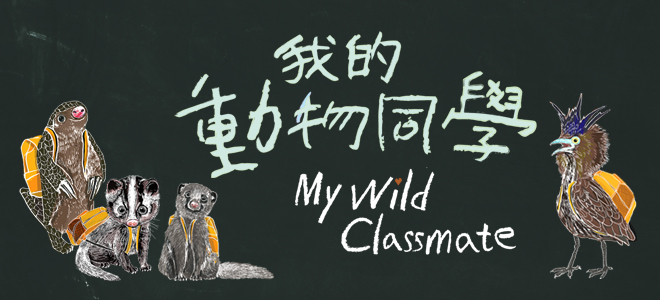 我的動物同學