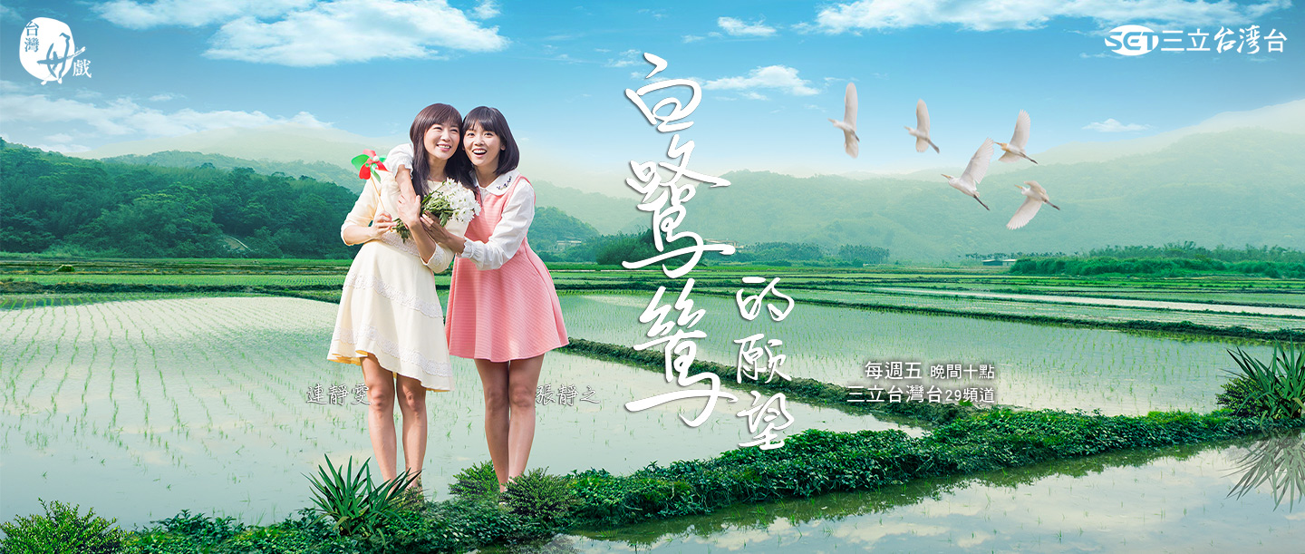 白鷺鷥 PC