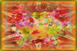 黛博拉看日本／Hello Work