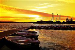 黛博拉看日本／與Google的邂逅（上）