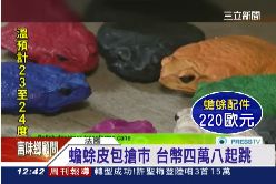 蟾蜍時尚包1200