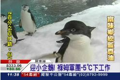 企鵝褓姆團190811t12