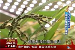 太設綠產業 建案推實體開心農場