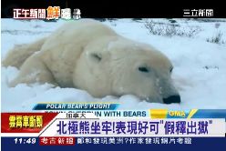 北極熊監獄1100.