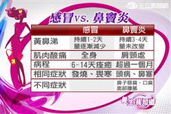 養生-過敏性鼻炎