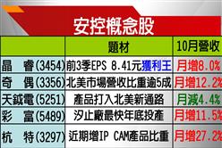 網路攝影機前景俏 安控股紅光滿面