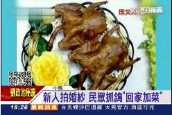 f陸搶放生鴿1600