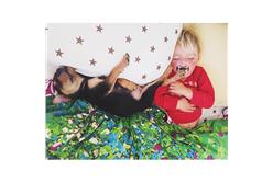 當我們睡在一起　小狗與小主人睡姿萌照　讓網友直呼太可愛(翻攝自http://www.mommasgonecity.com/2013/11/wishes-granted-theo-and-beau/)