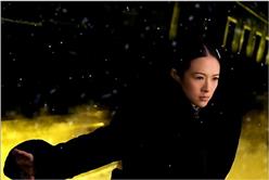 金馬50入圍／最佳女主角《一代宗師》章子怡（圖／翻攝自金馬獎官網）