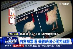 珊)刀下留火雞2400