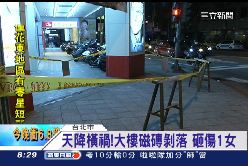 珊)瓷磚砸傷人2300