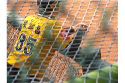 兄弟象。（圖／boomer-44）