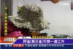 P為芬雀喊冤1200