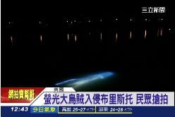 英發光烏賊g1100