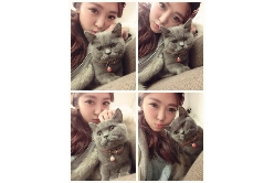 昨天工作攝影棚的可愛新朋友～你們知道這是什麼品種的貓咪嗎？牠好親人喔！