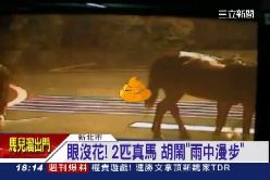 f兩馬逛大街1800