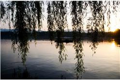 拉勾網,薪資,黃郁棋攝