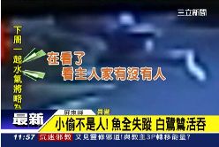 烏龍賊是鳥g1200