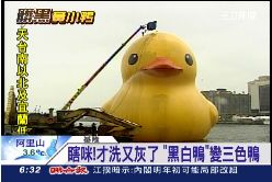 小鴨繼續洗1800.