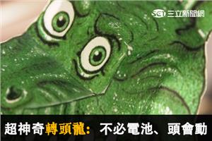 超神奇「轉頭龍」現身！不必電池哦