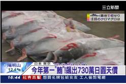 築地市場,日本海鮮,海膽,小海女,遷移,生魚片,壽司,黑鮪魚